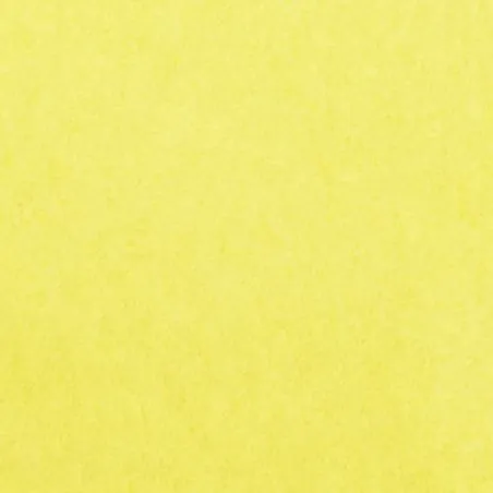 Tissu Feutrine unie jaune