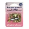 Boutons pression 11 mm + outillage de pose col. Or
