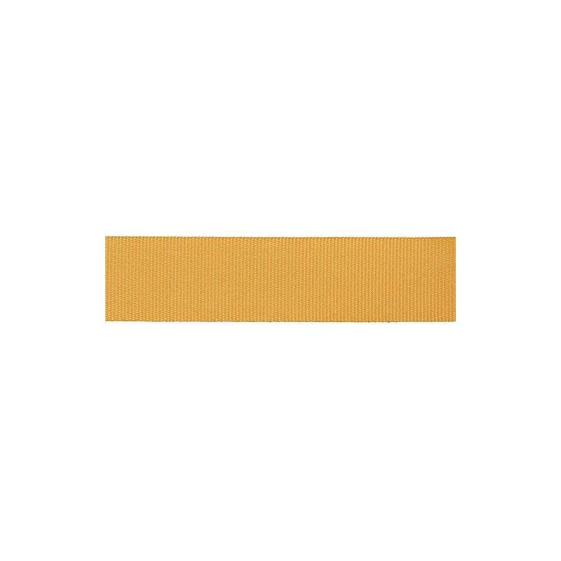 Disquette 25 m Gros grain 10 mm Disquette 25 m Gros grain 10 mm