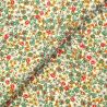 Tissu en coton blanc à imprimé fleuri multicolore Tissu en coton blanc à imprimé fleuri multicolore